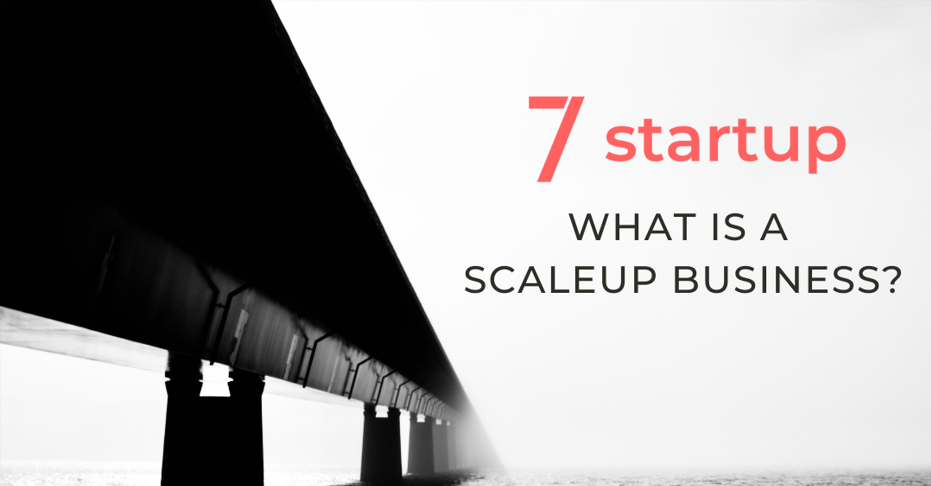 Scaleup business, What is a Scaleup Business?