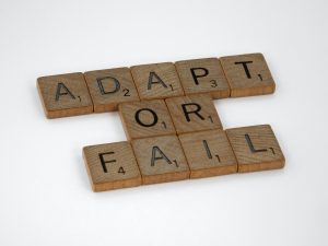 Startups fail, Why Do Startups Fail?