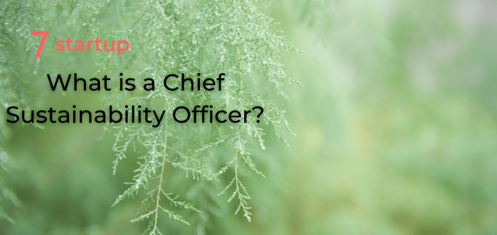 What is a Chief Sustainability Officer?