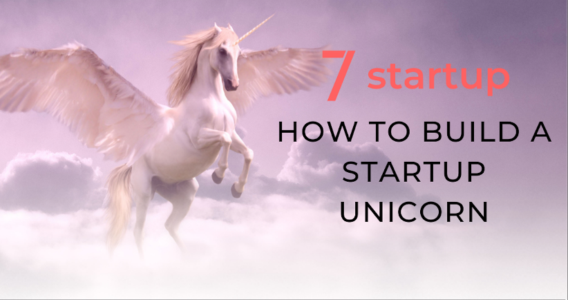 startup unicorn, How to Build a Startup Unicorn